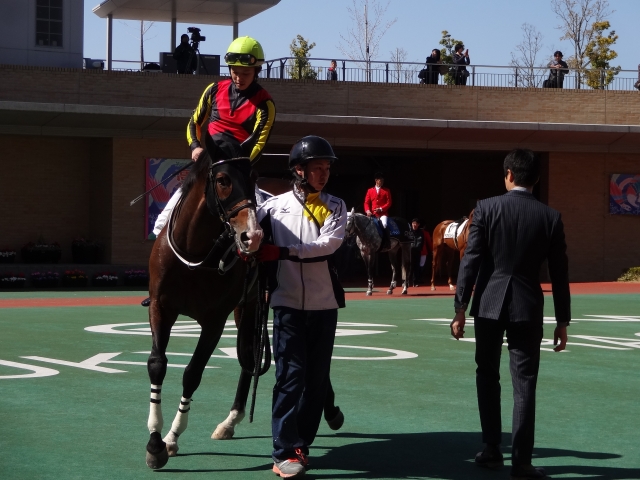 500万下 パドック フィンデルムンド