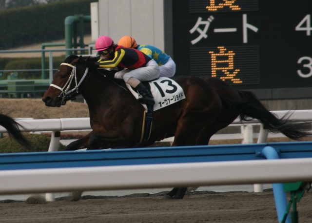 第１回小倉第５日１Ｒ３歳未勝利１７００Ｍダート オーヴァージョイド