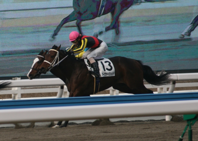 第１回小倉第５日１Ｒ３歳未勝利１７００Ｍダート オーヴァージョイド