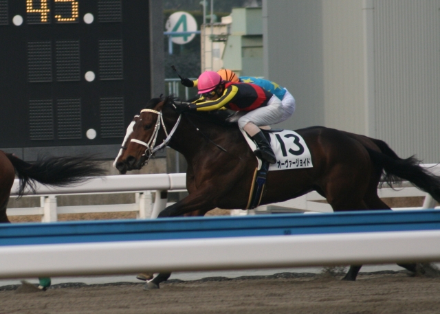 第１回小倉第５日１Ｒ３歳未勝利１７００Ｍダート オーヴァージョイド