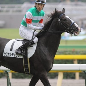 2010/10/17新馬戦返し馬