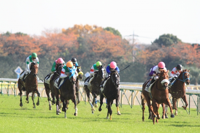 2010/11/27東京３Ｒ未勝利戦 ケミカルチェンジ