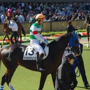 2010.11.6　未勝利戦　パドック３