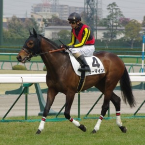 ２０１１／０４／０２　阪神６Ｒ