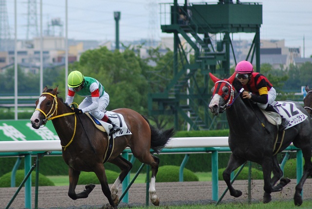 10年7月4日、新馬戦 ウルル