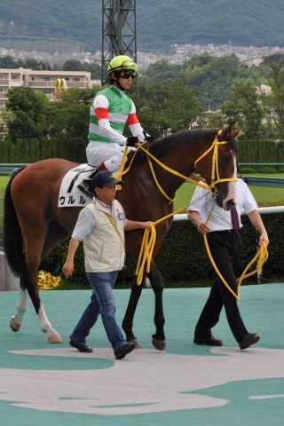新馬戦 ウルル