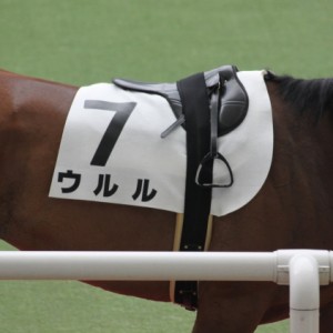 2010年7月4日阪神４Ｒ新馬戦