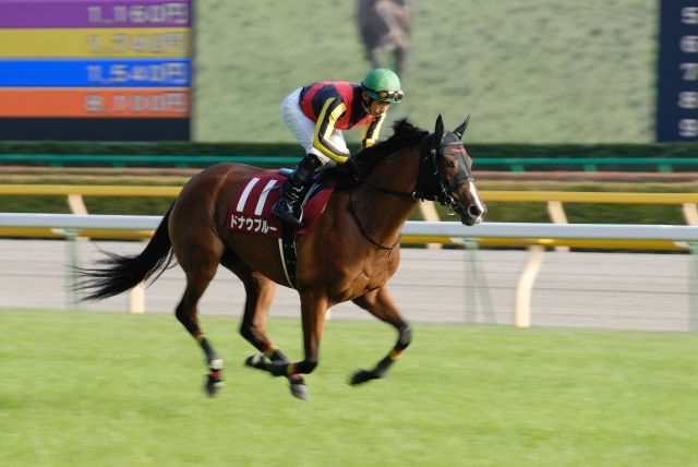 府中牝馬ステークス返し馬 ドナウブルー