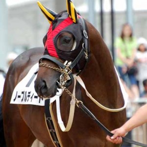 新馬戦パドック
