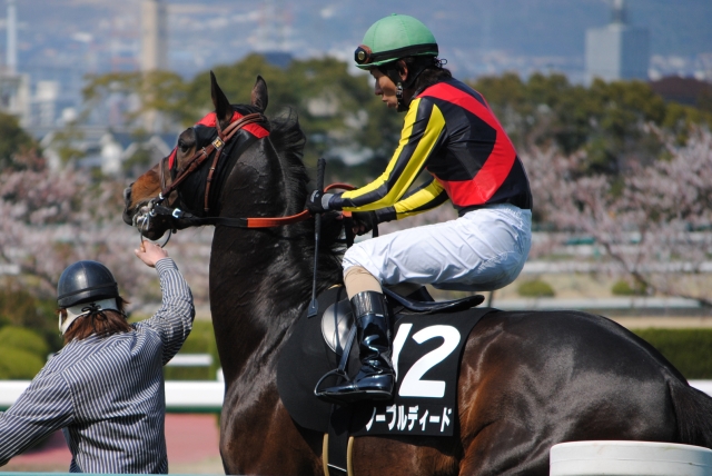 20120408山陽特別馬場入り ノーブルディード