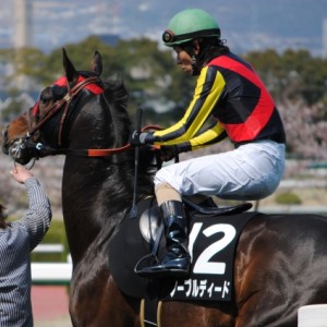 20120408山陽特別馬場入り