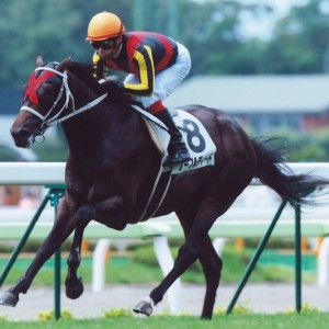 20100807函館2R2歳未勝利