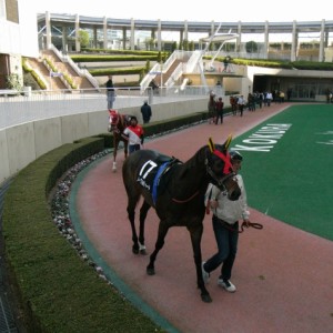 20101218小倉10R　つわぶき賞