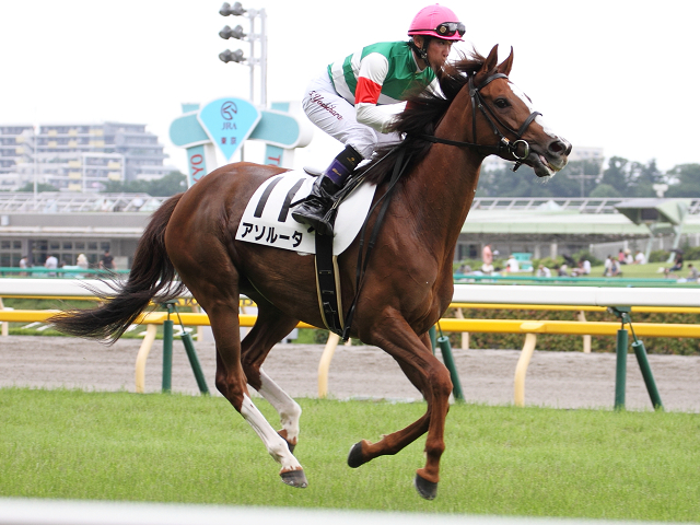 2013/06/23　3歳上500万下 アソルータ