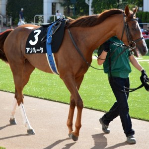2011年9月10日　中山競馬場　紫苑ステークス