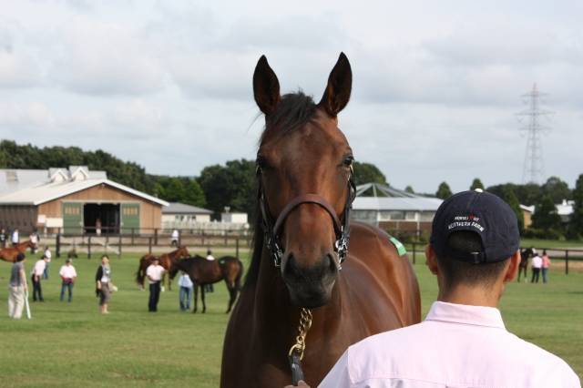 募集馬見学ツアーにて ペルレンケッテ