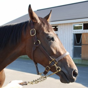 2010.8　NF空港にて