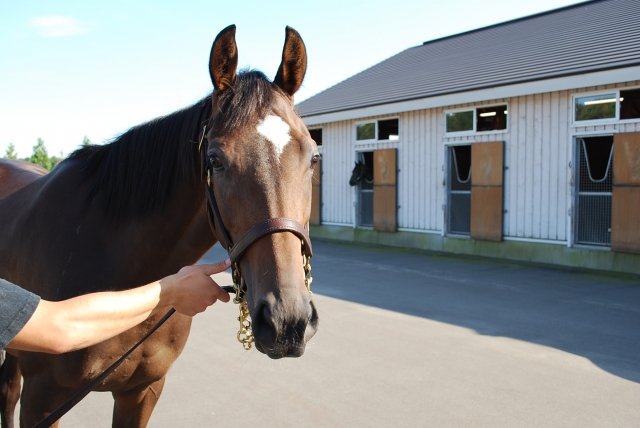 2010.8　NF空港にて インダクティ