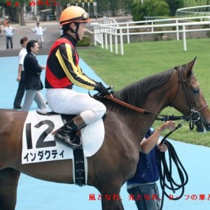 デビュー戦の本馬場入場