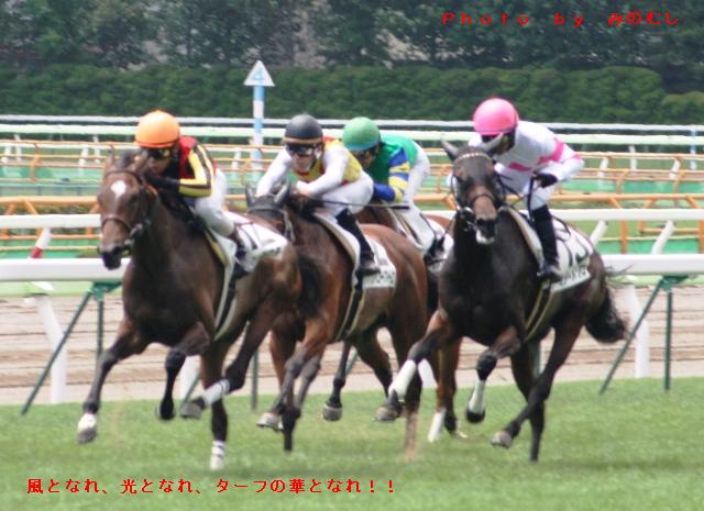 デビュー戦の最後の直線 インダクティ