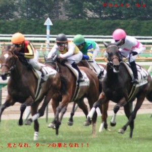 デビュー戦の最後の直線