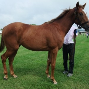 １歳時　　見学ツアー