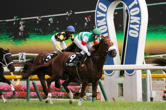 2013/6/15 芦ノ湖特別 ヒールゼアハーツ