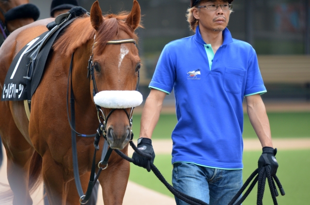 くちなし賞 ヒールゼアハーツ