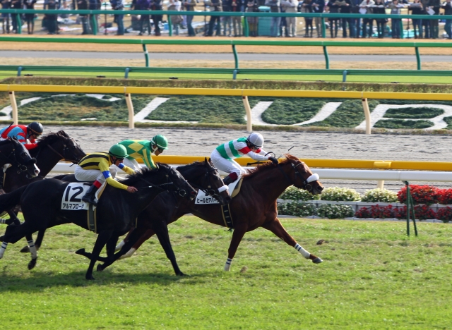 2011年11月27日　500万下 ヒールゼアハーツ