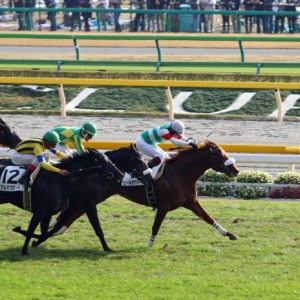 2011年11月27日　500万下