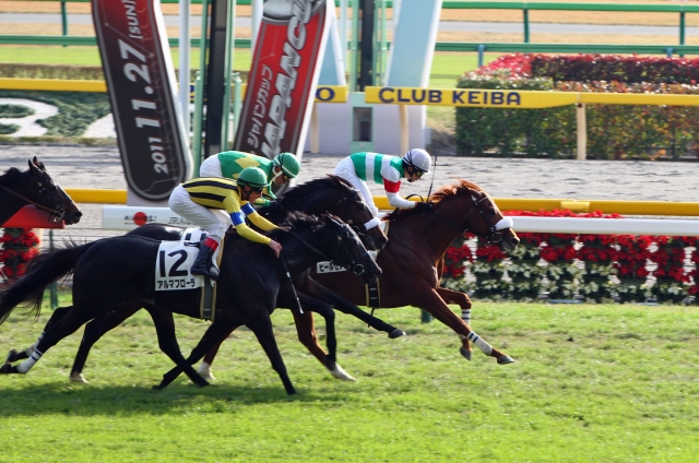 2011年11月27日　500万下 ヒールゼアハーツ