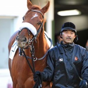 2012年1月8日　1000万下
