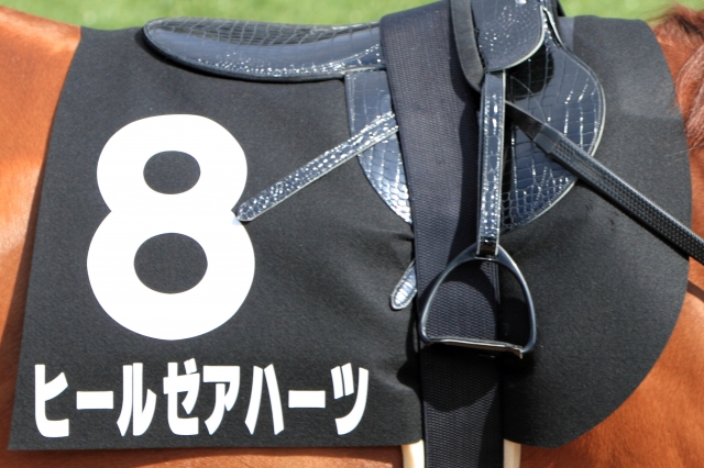 2012年3月25日　安房特別 ヒールゼアハーツ