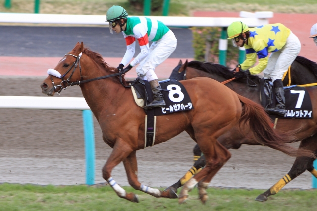 2012年3月25日　安房特別 ヒールゼアハーツ