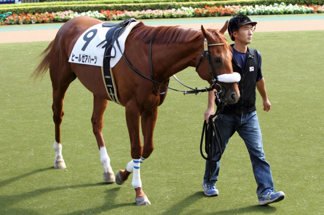 2012年10月7日　500万下 ヒールゼアハーツ