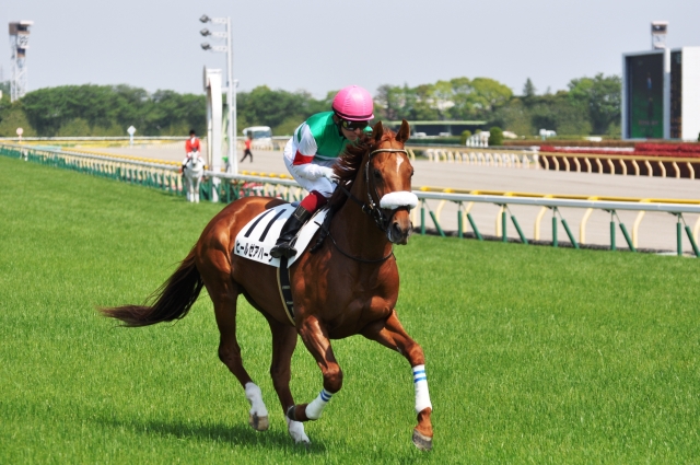 4歳以上1000万下/返し馬 ヒールゼアハーツ