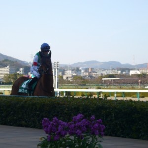 アーリントンC本馬場入場　川田騎手騎乗