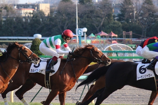 2/18東京12R ４歳上1000万下 芝1800m カルドブレッサ
