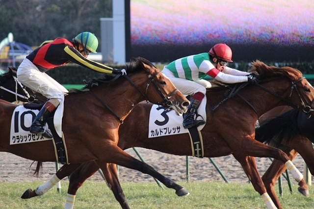 2/18東京12R ４歳上1000万下 芝1800m カルドブレッサ