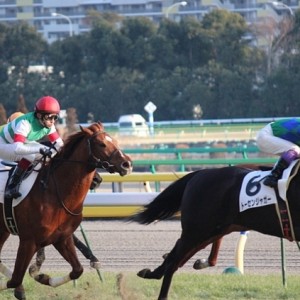 2/18東京12R ４歳上1000万下 芝1800m