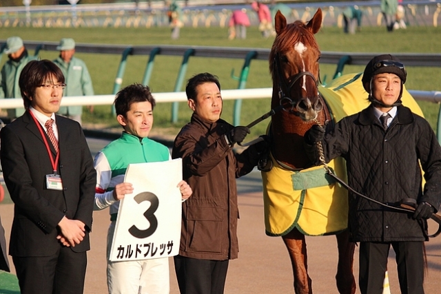 2/18東京12R ４歳上1000万下 芝1800m カルドブレッサ