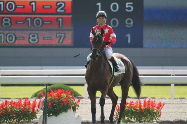 レッドマーベル未勝利戦　馬場入り後 レッドマーベル