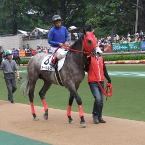 20110612東京５Ｒ