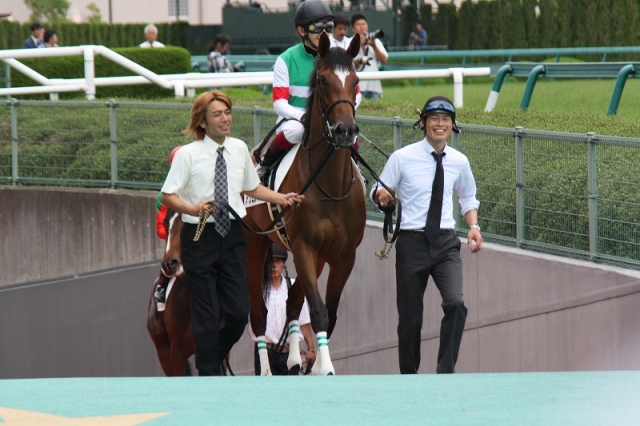 阪神　新馬戦　 アヴェンチュラ