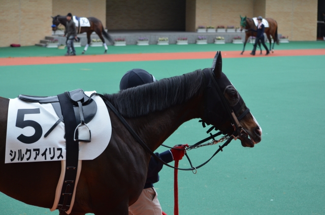 中京６Ｒ シルクアイリス