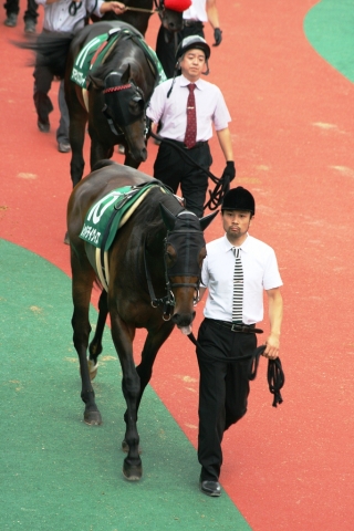中京記念パドック レッドデイヴィス