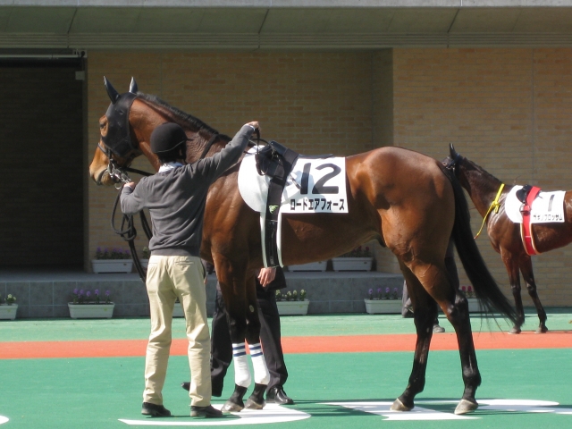 4歳以上500万下 ロードエアフォース
