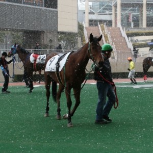 2/12　小倉3R　未勝利　芝1200ｍ