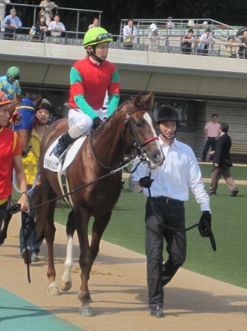 東京競馬場で松岡を背に マイネルヴィルンガ