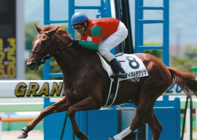 新馬勝 マイネルラクリマ